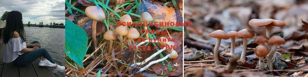 дистиллят марихуана Алзамай
