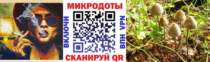 где найти гидра ссылка Галлюциногенные грибы Cubensis Карабулак