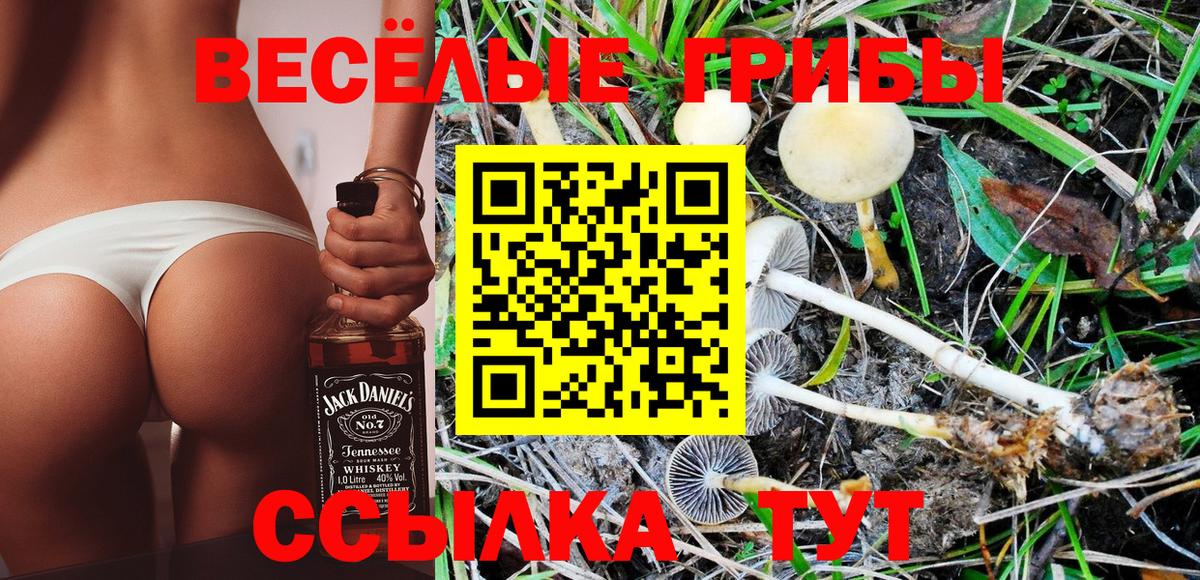 Псилоцибиновые грибы мицелий  Вход с VPN  Галлюциногенные грибы Psilocybe  Карабулак 