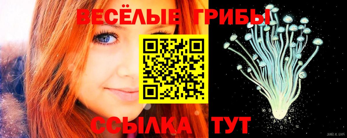 Галлюциногенные грибы Magic Shrooms Карабулак